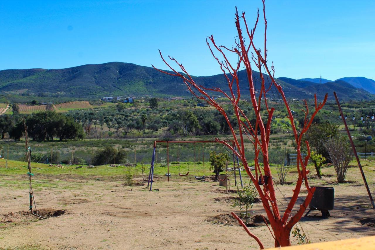 Rancho Matalote En Valle De Guadalupe Extérieur photo