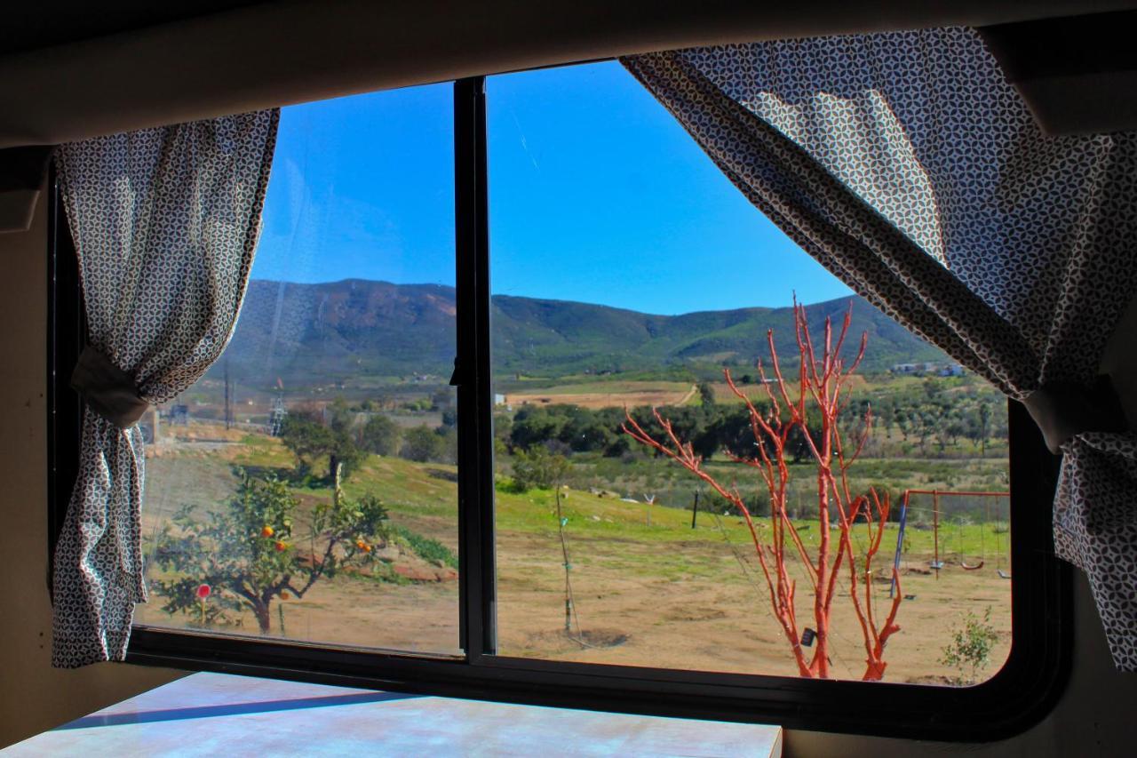 Rancho Matalote En Valle De Guadalupe Extérieur photo