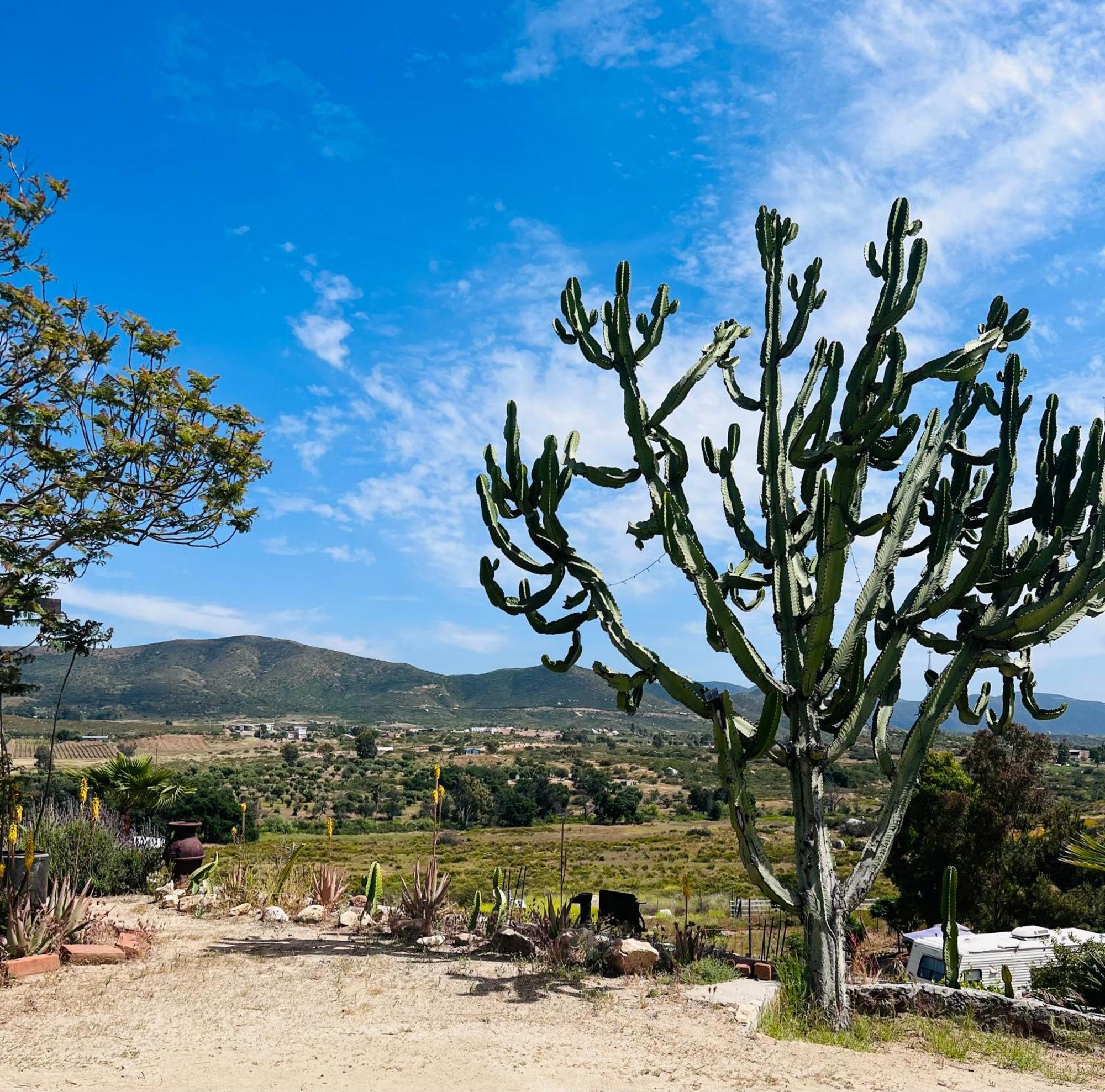 Rancho Matalote En Valle De Guadalupe Extérieur photo